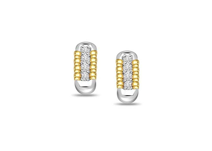 Two Tone Plated | Fashion Earrings